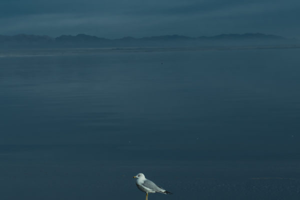 SaltonSea-61